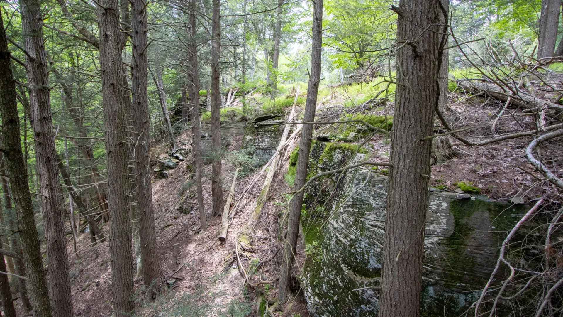 Property at 0 Perkins Rd, Hancock, NY 13783 16