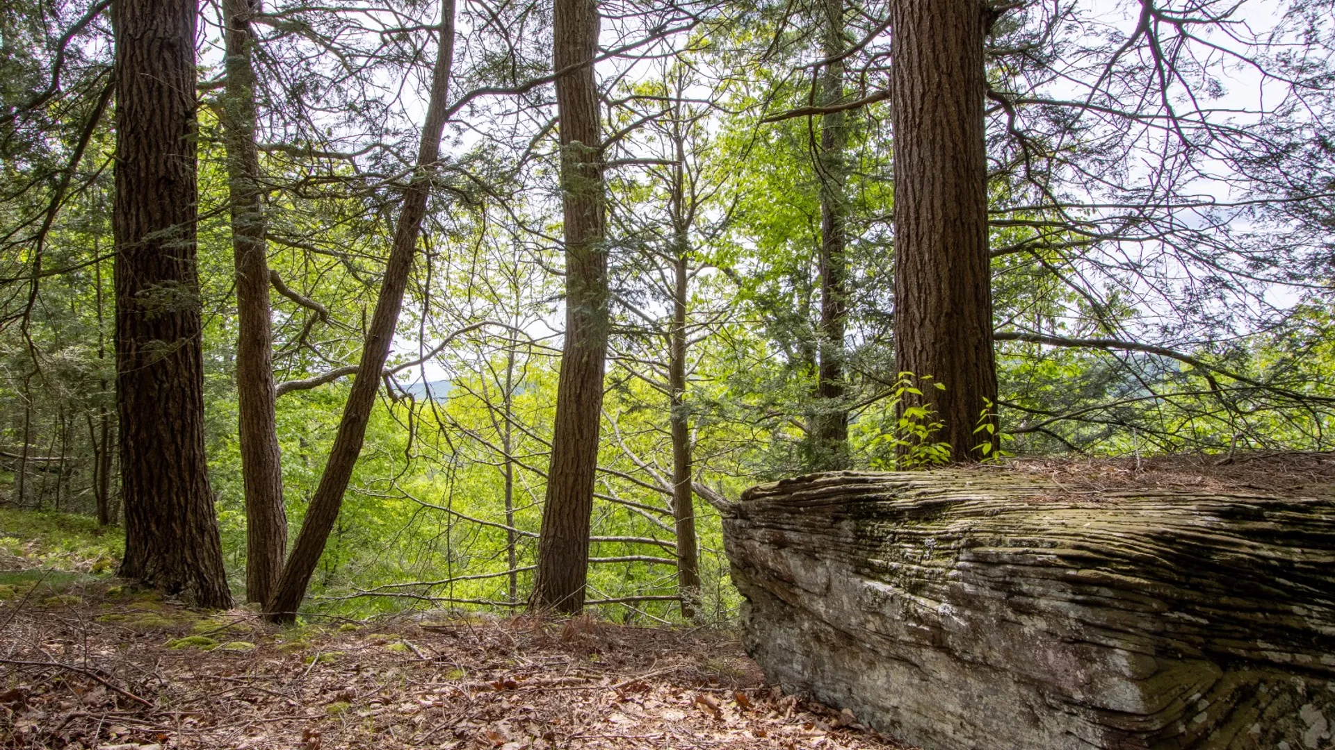 Property at 0 Perkins Rd, Hancock, NY 13783 17