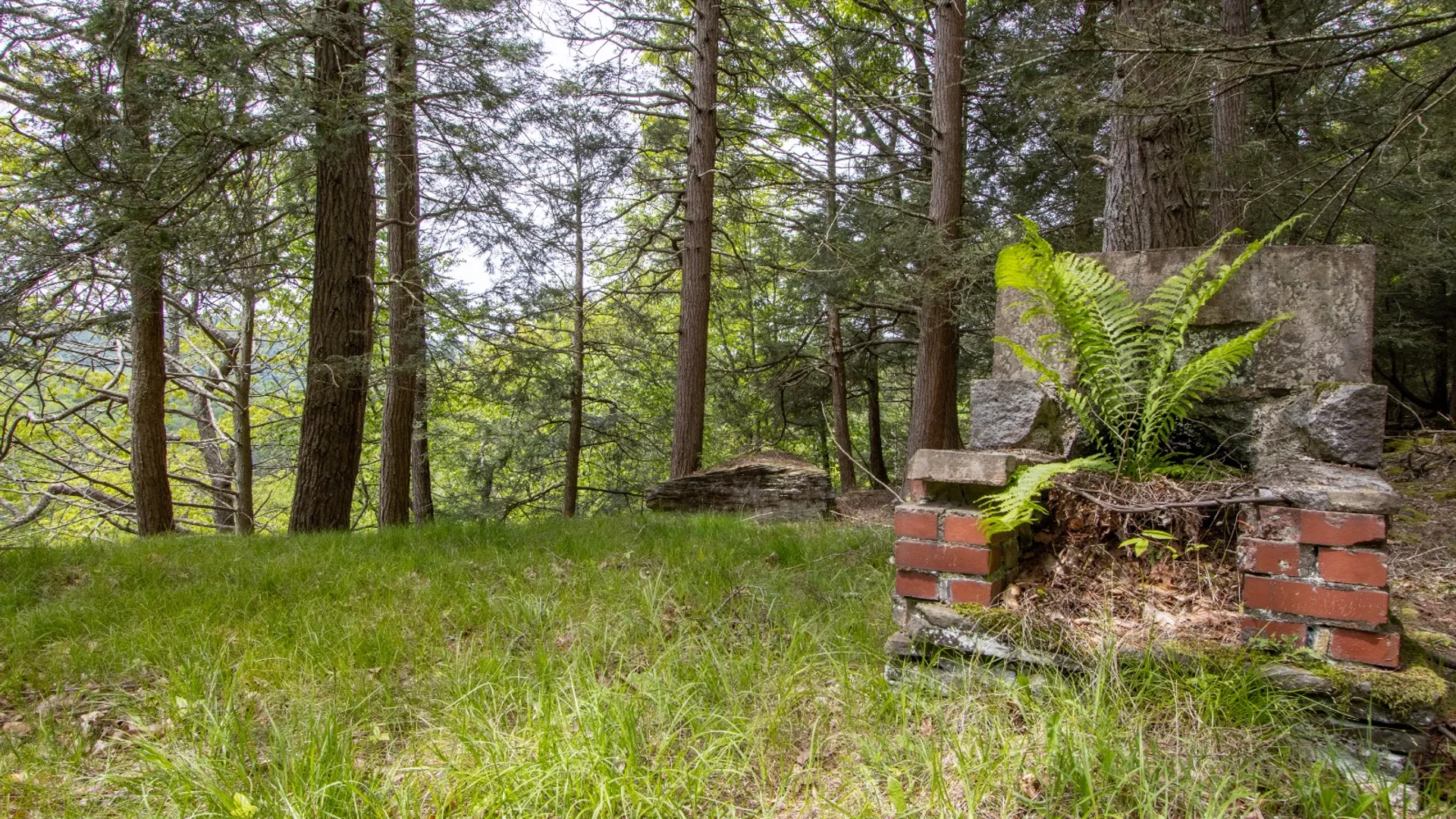 Property at 0 Perkins Rd, Hancock, NY 13783 18