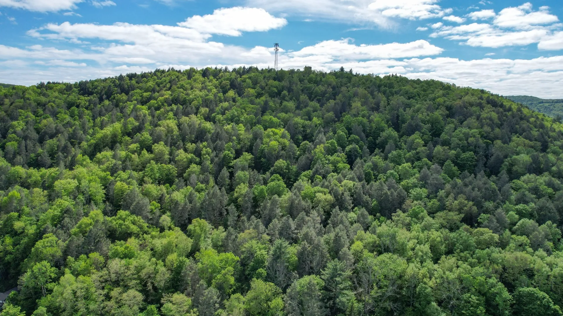 Property at 0 Perkins Rd, Hancock, NY 13783 9
