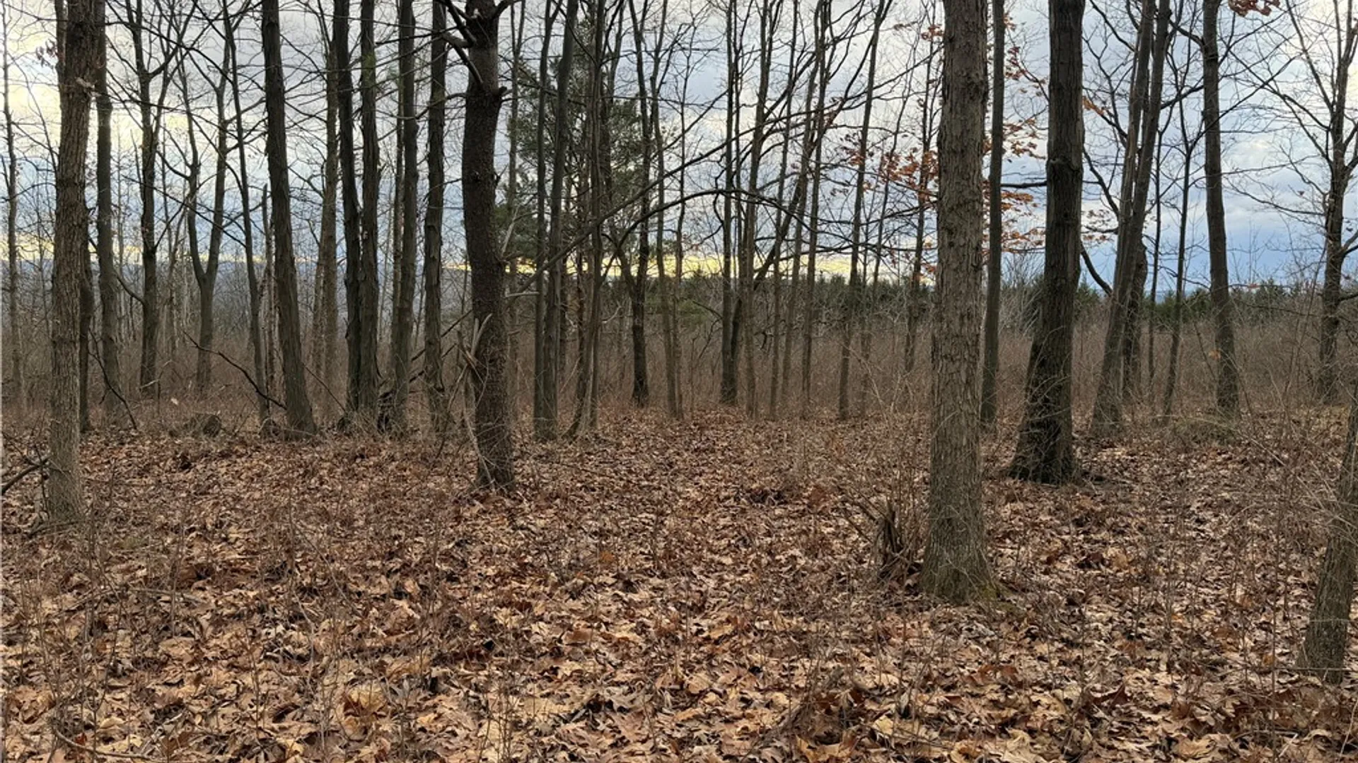 Property at Satterly Hill Road, Hector, NY 14818 10