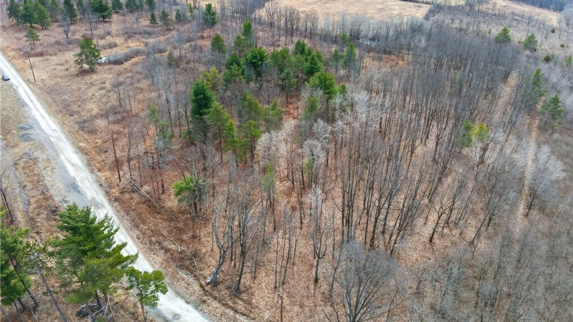 Property at Satterly Hill Road, Hector, NY 14818 11