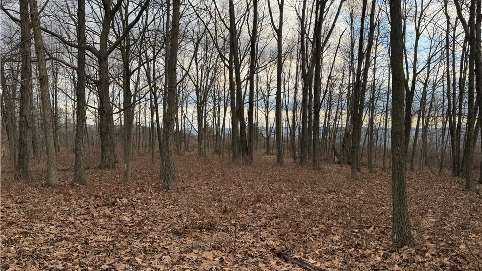 Property at Satterly Hill Road, Hector, NY 14818 12