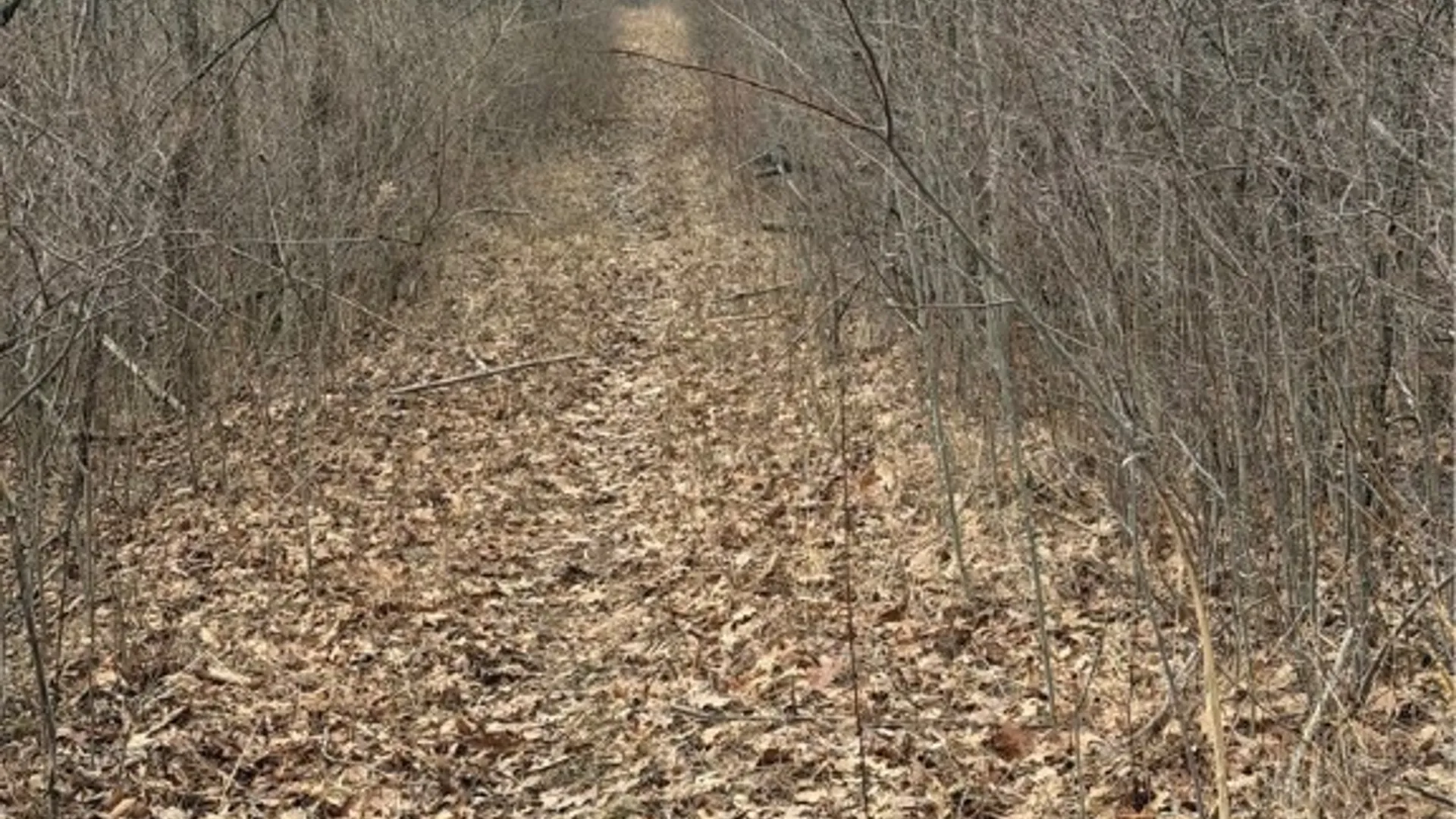 Property at Satterly Hill Road, Hector, NY 14818 13