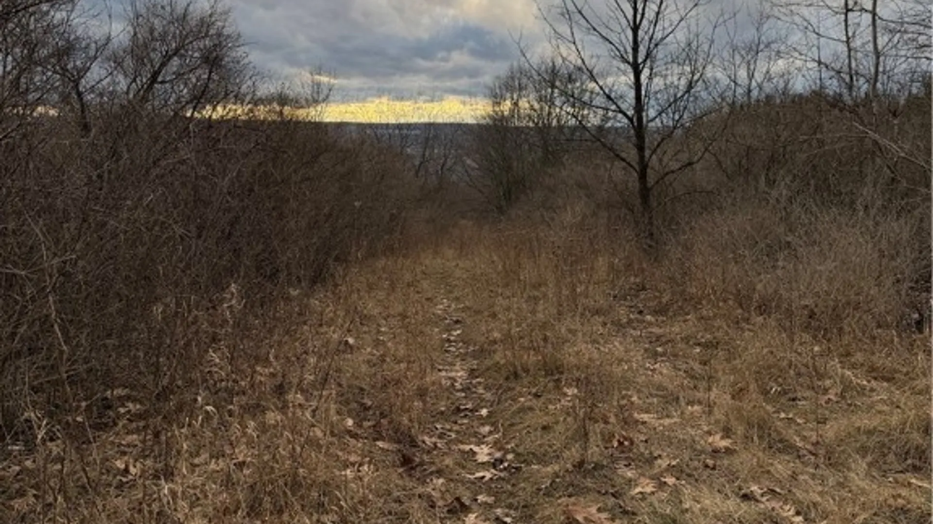 Property at Satterly Hill Road, Hector, NY 14818 14