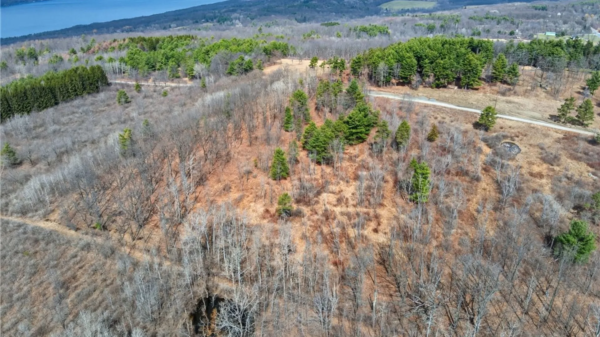 Property at Satterly Hill Road, Hector, NY 14818 15