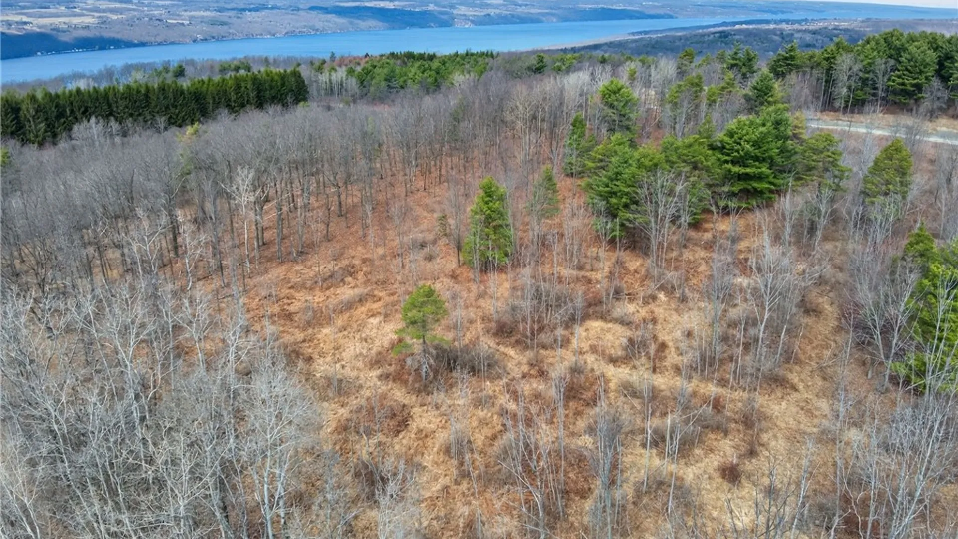 Property at Satterly Hill Road, Hector, NY 14818 16