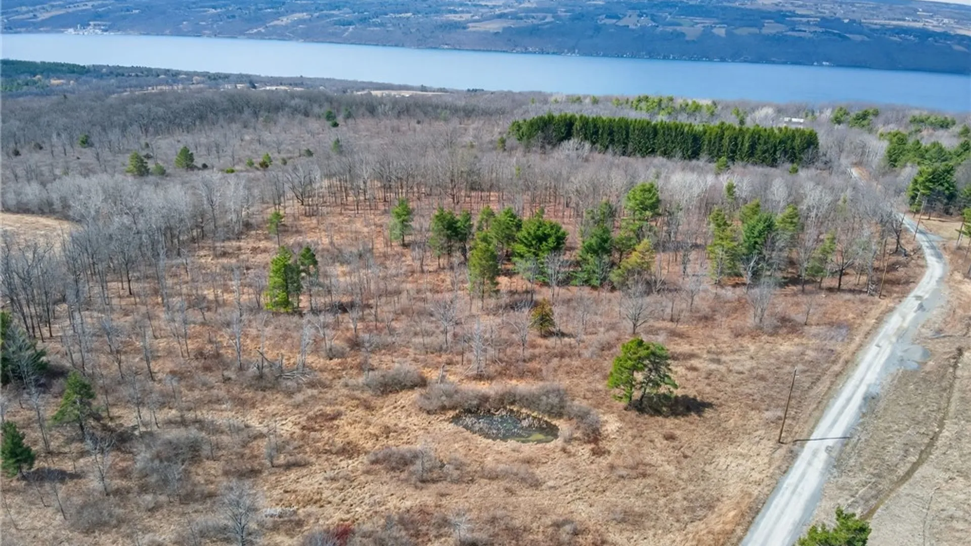 Property at Satterly Hill Road, Hector, NY 14818 3