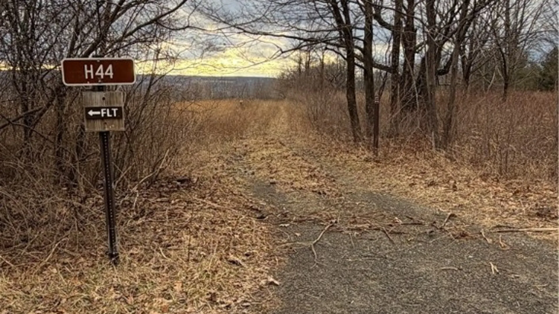 Property at Satterly Hill Road, Hector, NY 14818 4