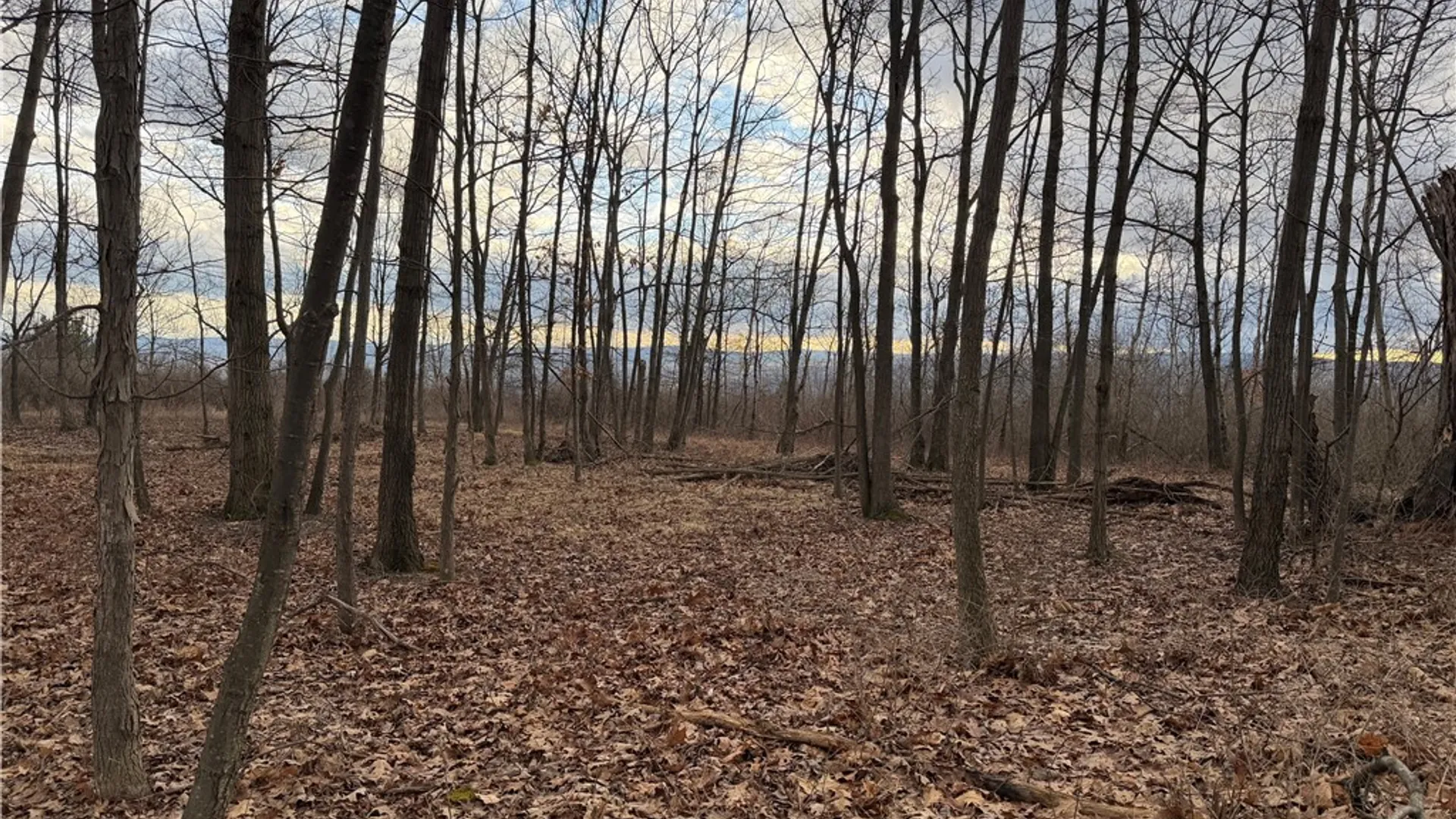 Property at Satterly Hill Road, Hector, NY 14818 5