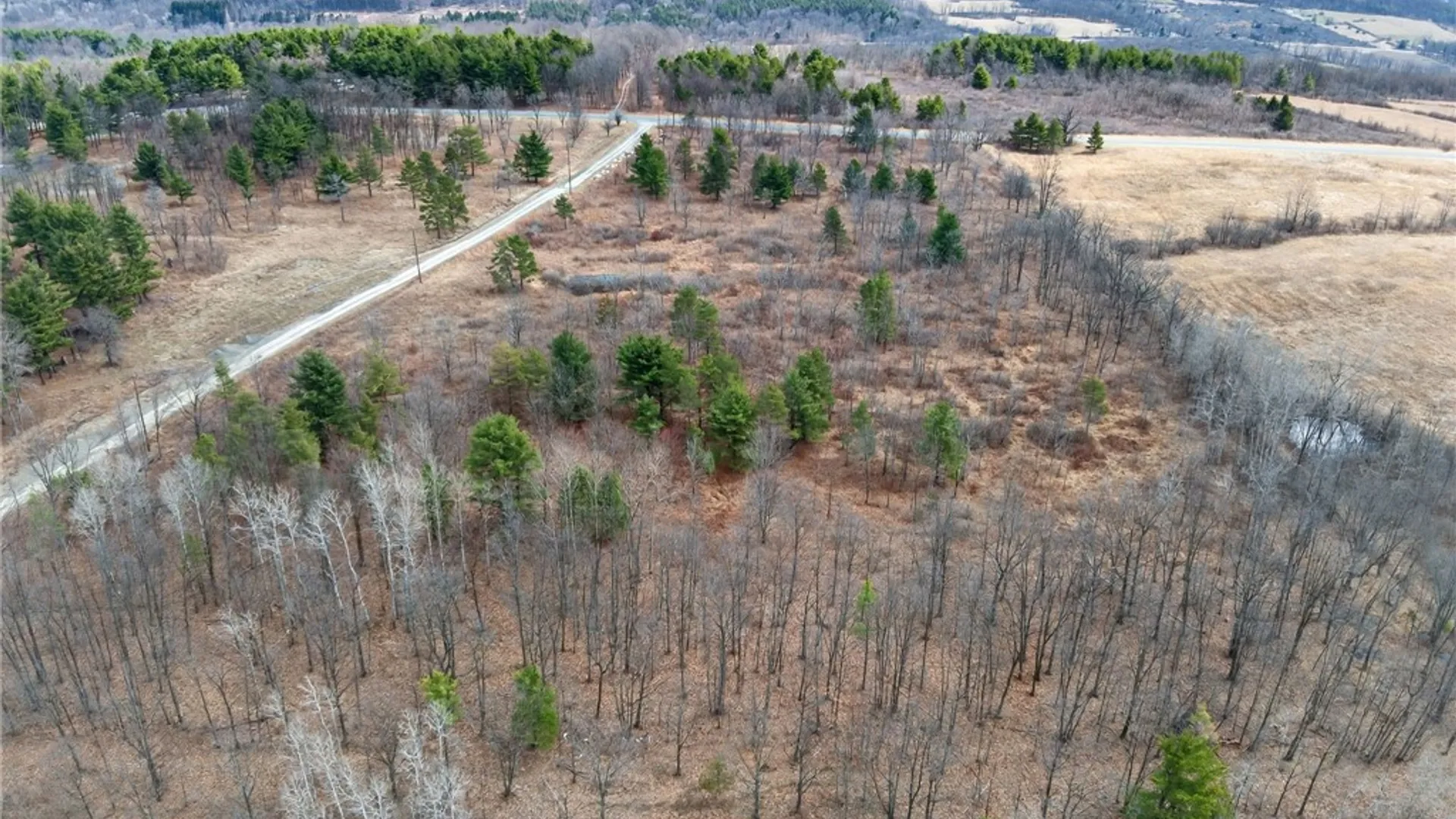 Property at Satterly Hill Road, Hector, NY 14818 6