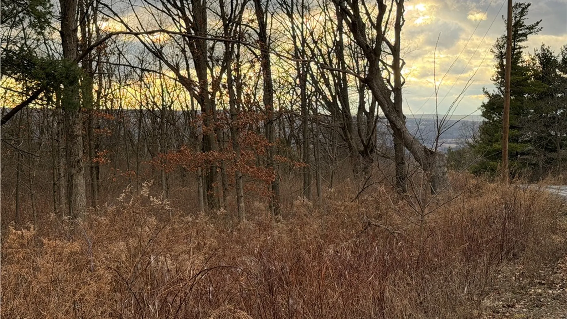 Property at Satterly Hill Road, Hector, NY 14818 7