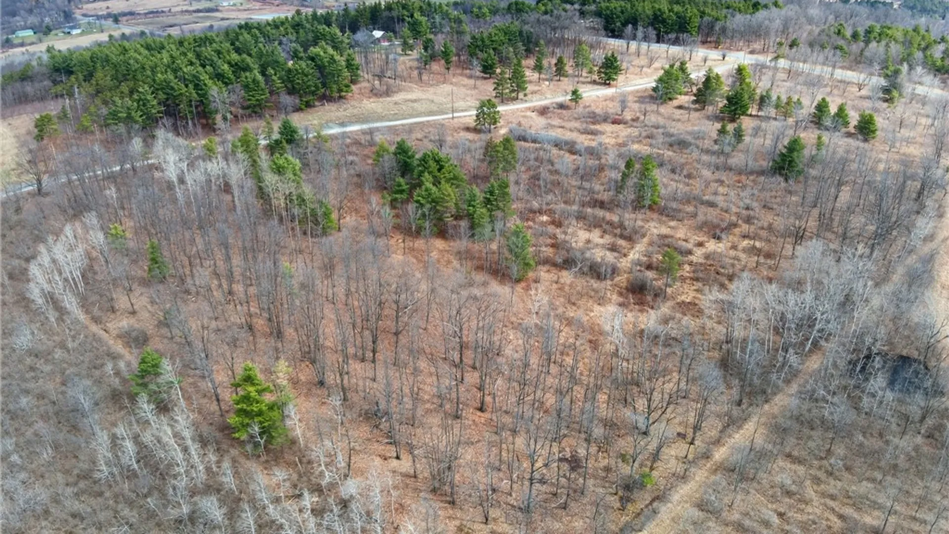 Property at Satterly Hill Road, Hector, NY 14818 8