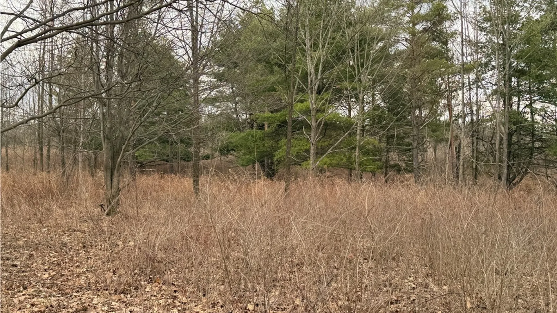 Property at Satterly Hill Road, Hector, NY 14818 9