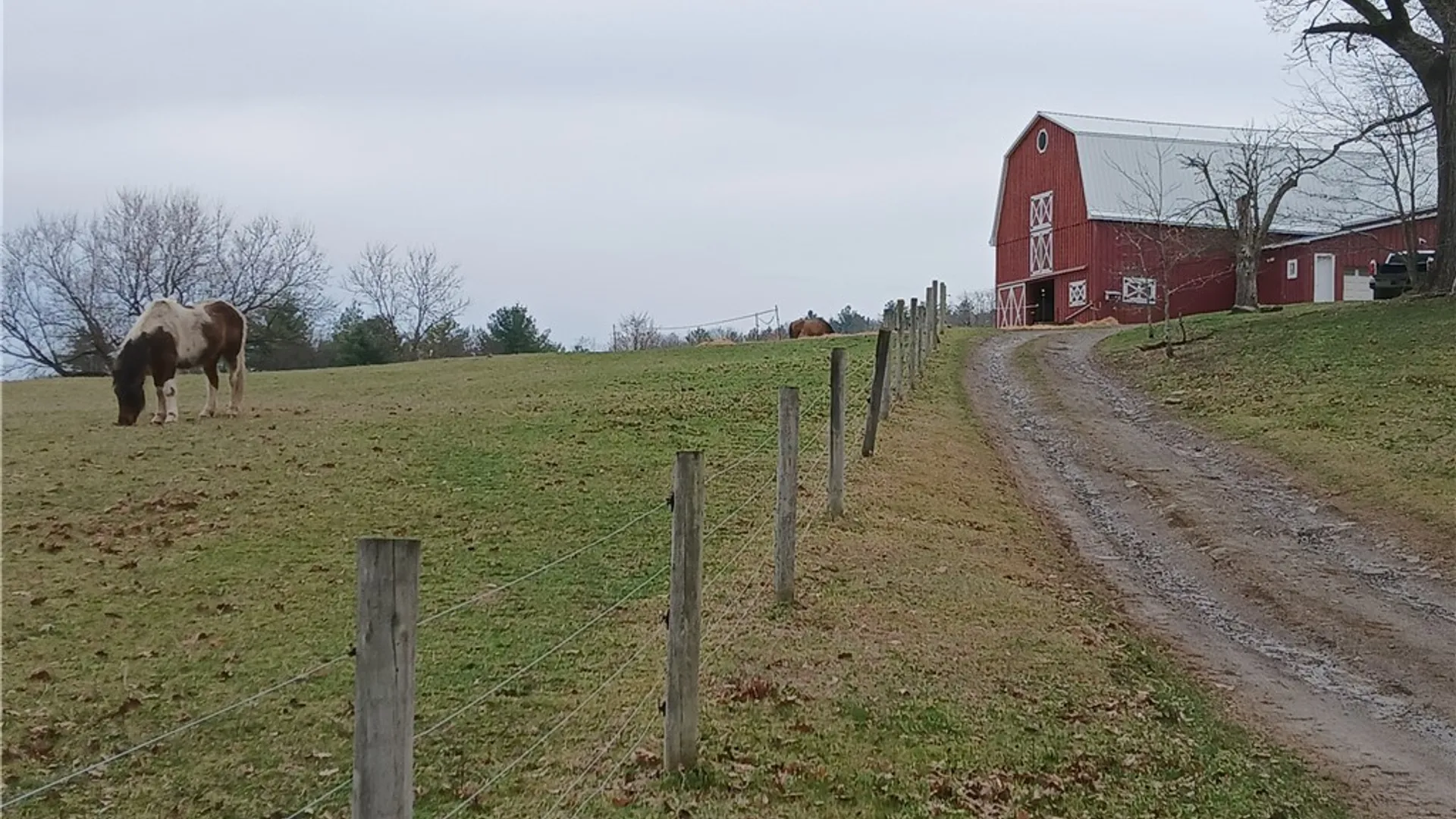 Property at 10416 West Caton, Caton, NY 14830 2