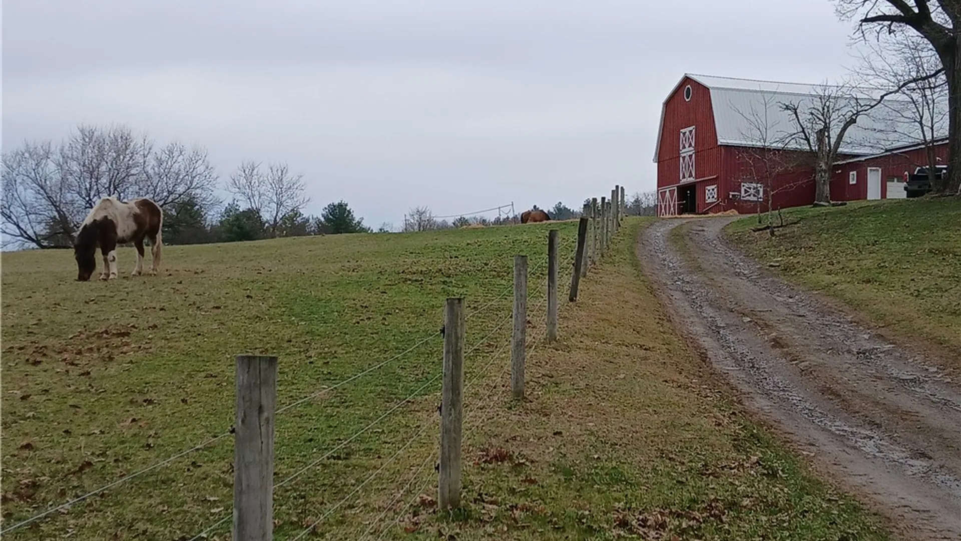 Property at 10416 West Caton, Caton, NY 14830 20
