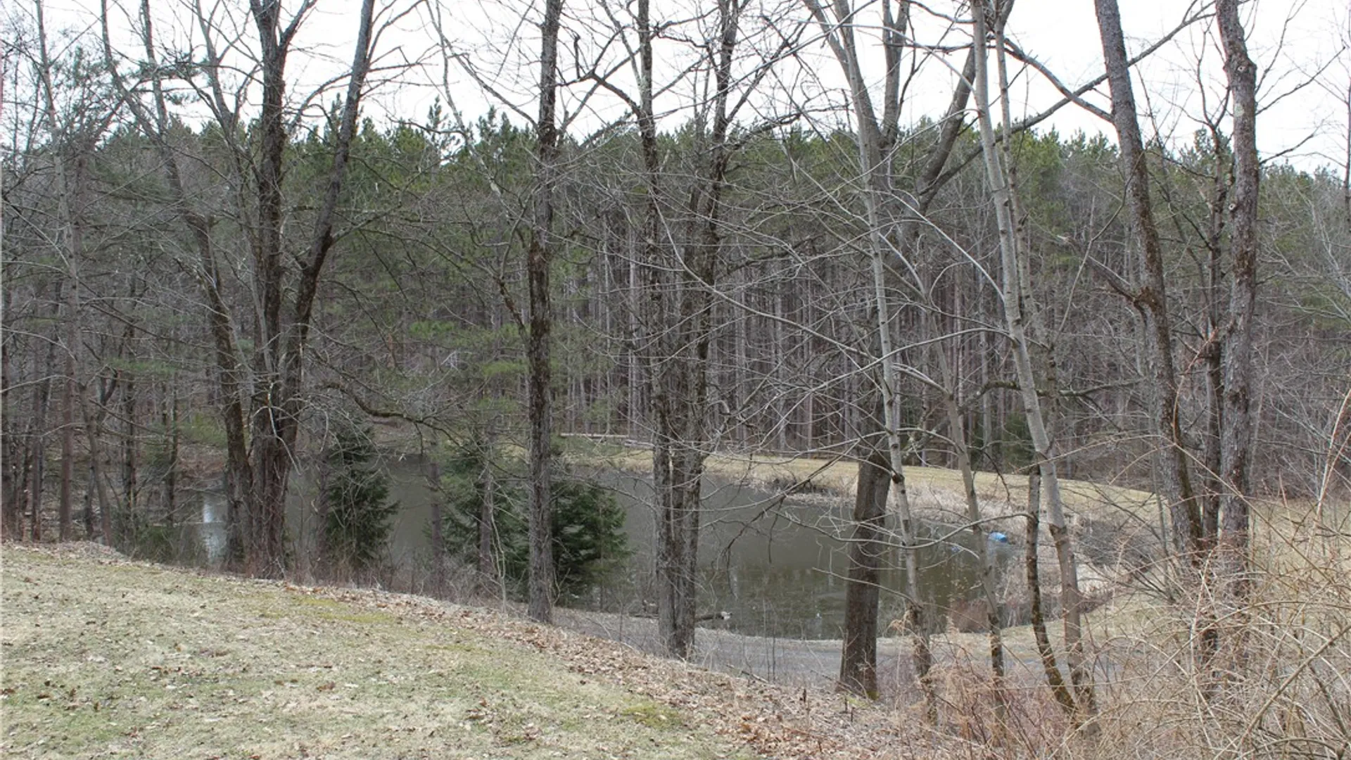 Property at 714 Pleasant Valley Road, Sherburne, NY 13460 39