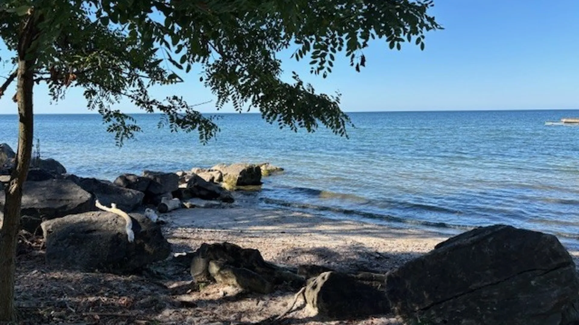 Property at 0 Davison Beach Lot #5 Road, Parma, NY 14468 7
