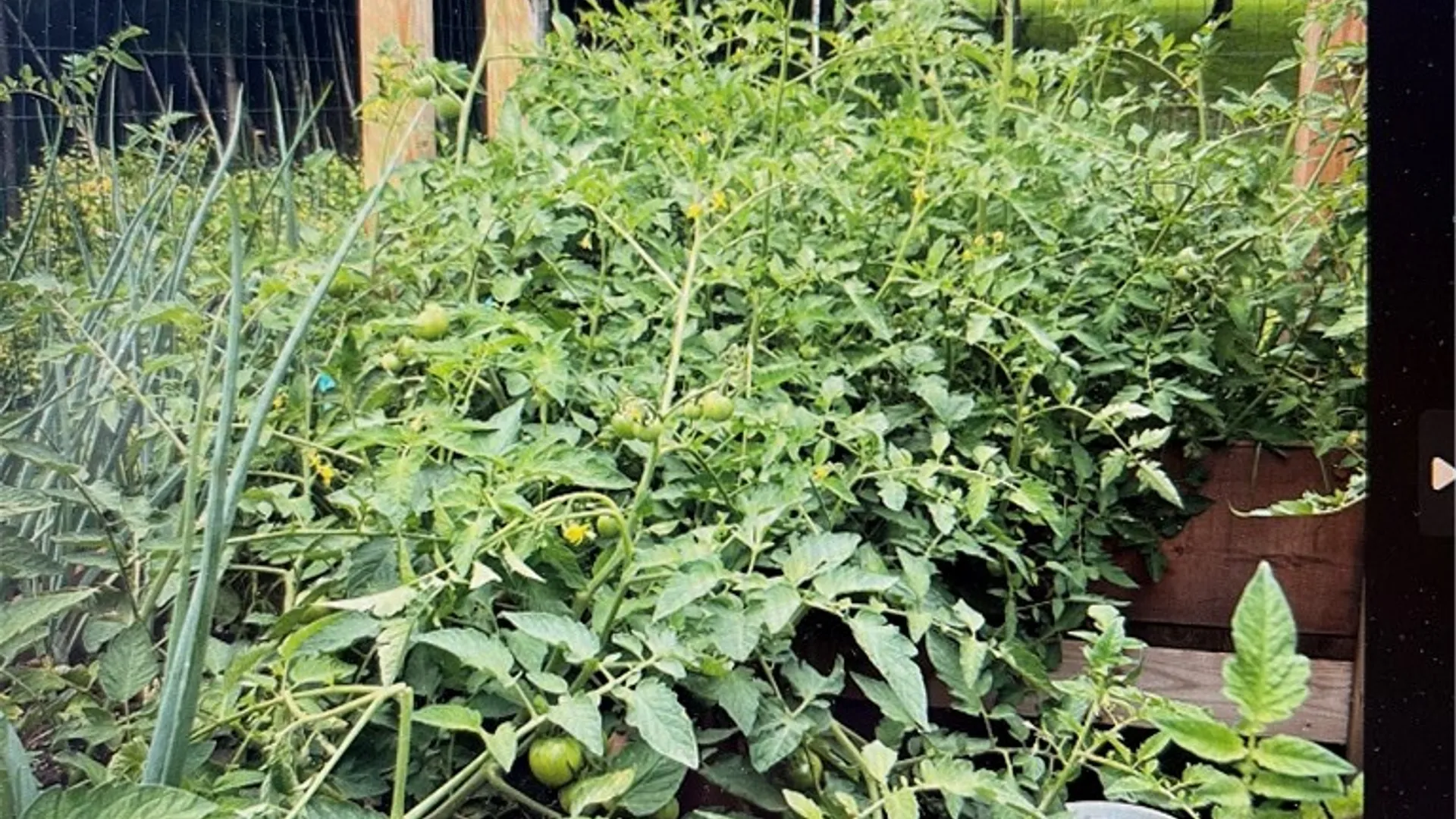 Property at 37 Longhill Road, Afton, NY 13730 38