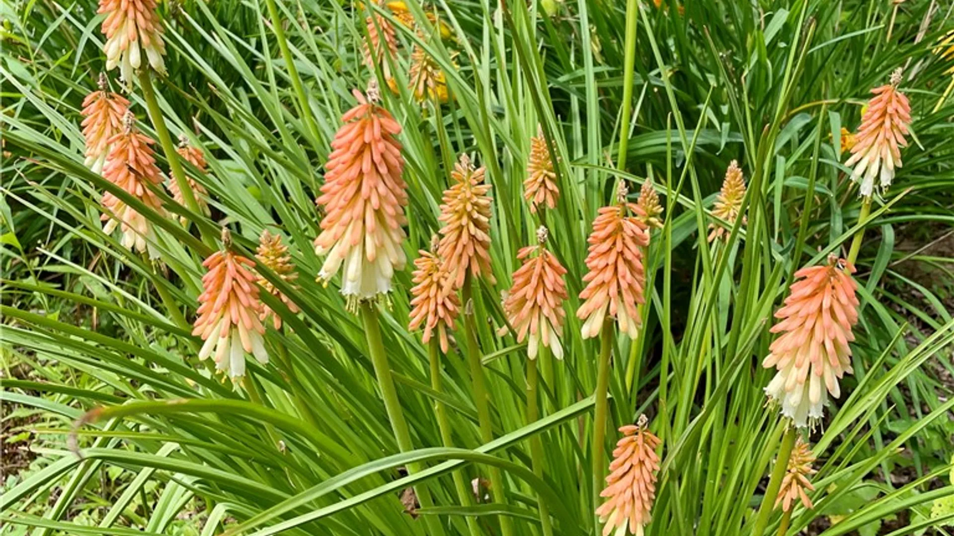 Property at 37 Longhill Road, Afton, NY 13730 39