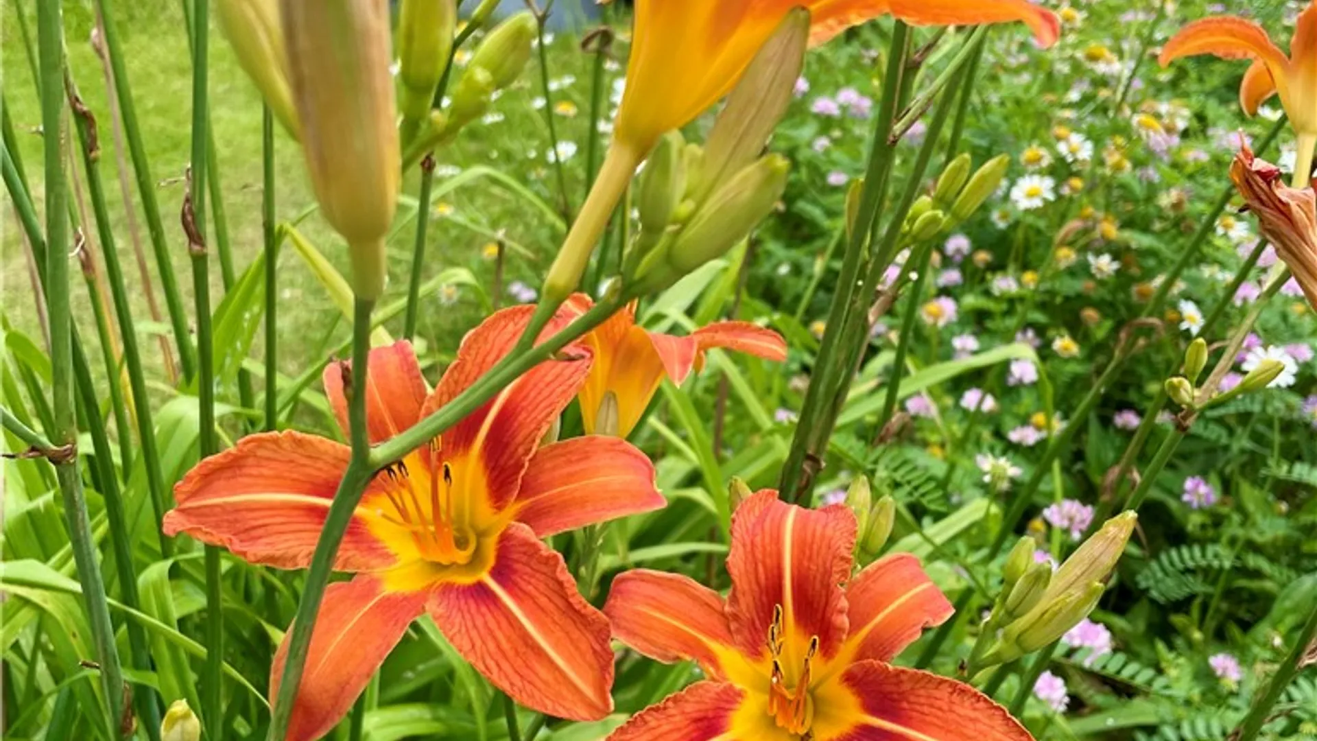 Property at 37 Longhill Road, Afton, NY 13730 40