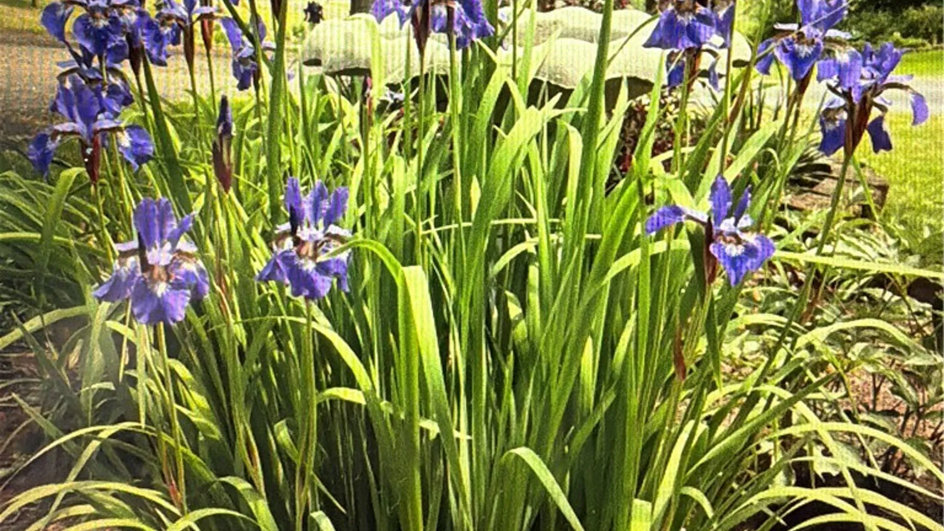 Property at 37 Longhill Road, Afton, NY 13730 41