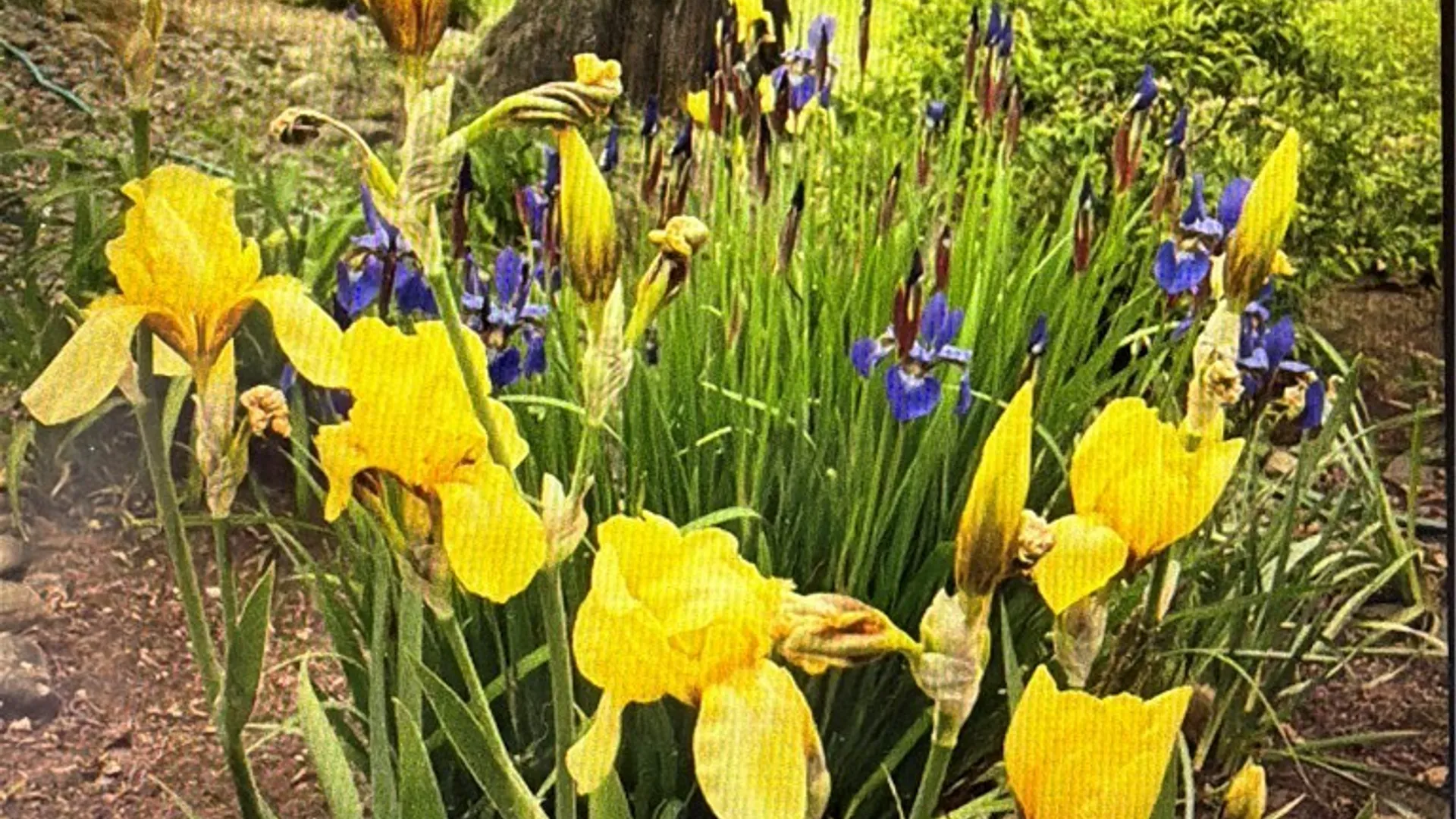 Property at 37 Longhill Road, Afton, NY 13730 42