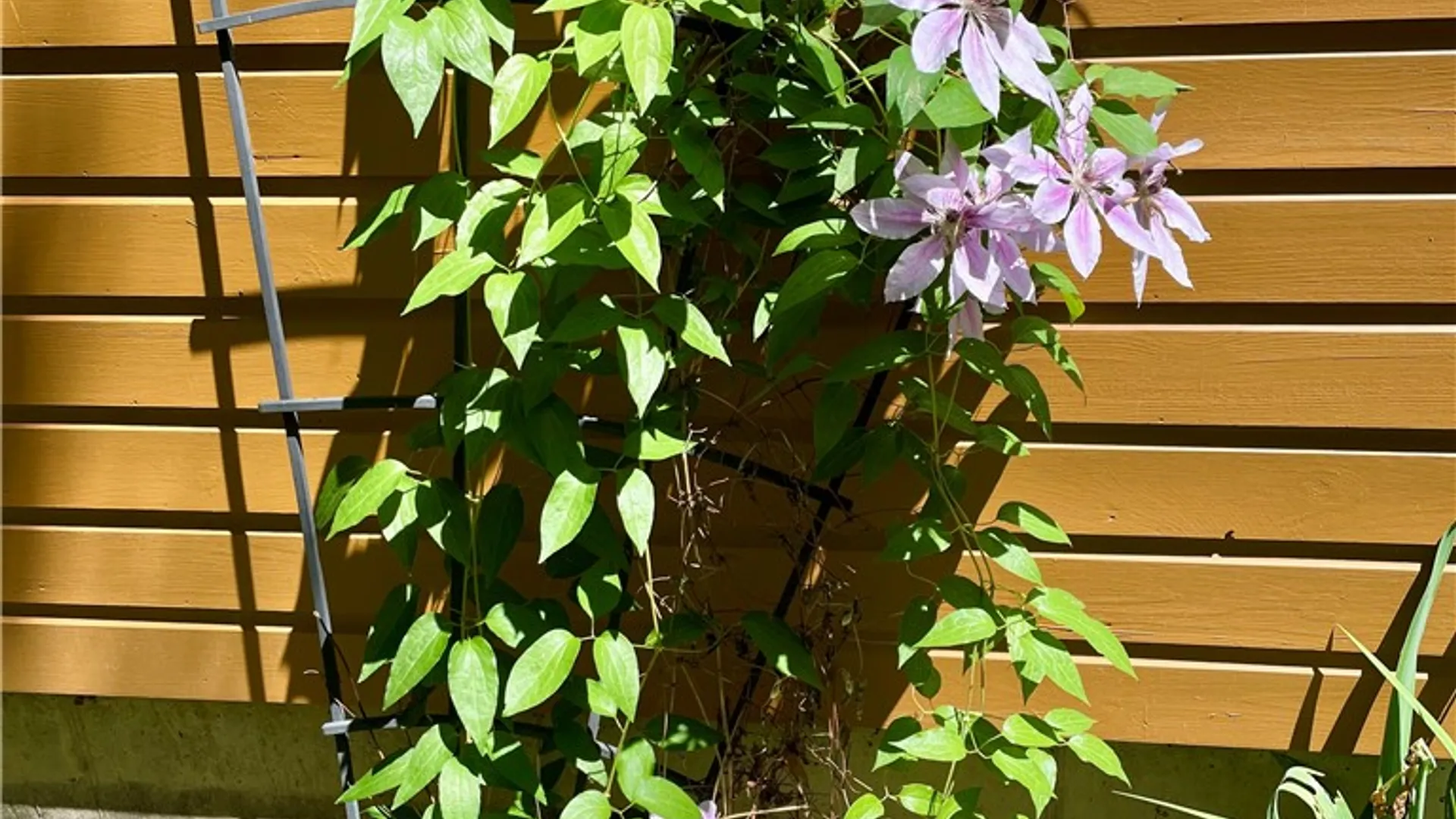 Property at 37 Longhill Road, Afton, NY 13730 44