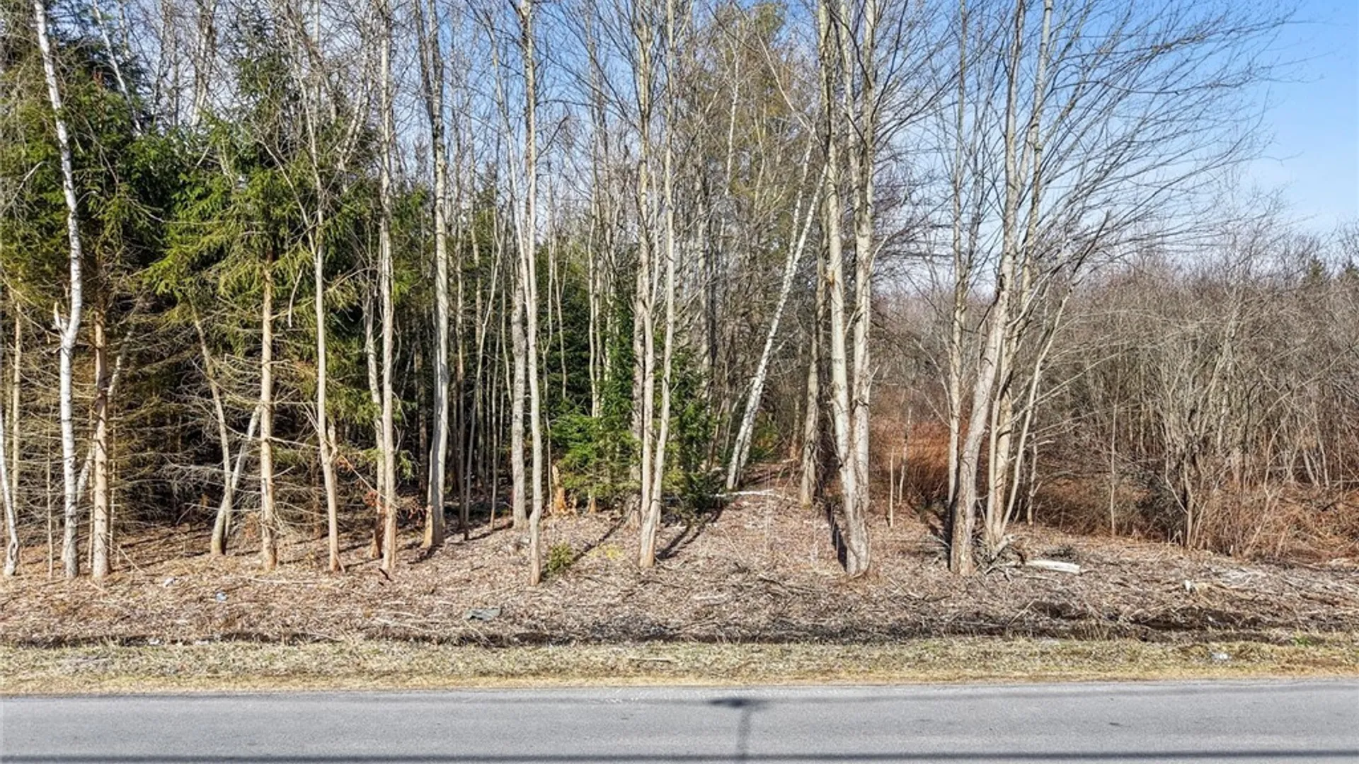 Property at Center Street, Constantia, NY 13042 15