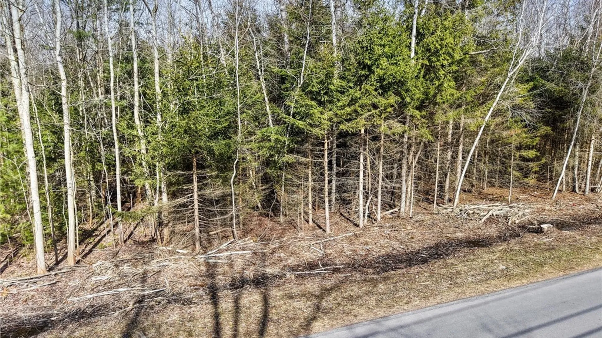 Property at Center Street, Constantia, NY 13042 17