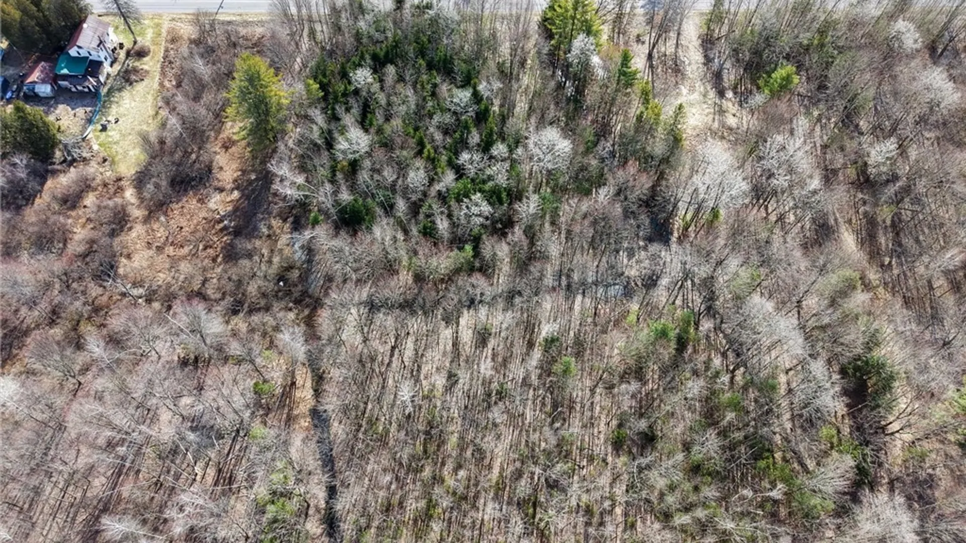 Property at Center Street, Constantia, NY 13042 9