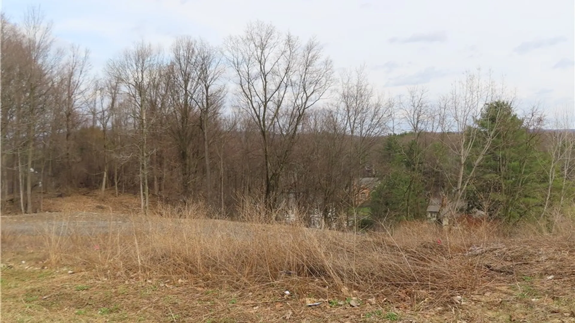 Property at 5062 Bergenfield Way, DeWitt, NY 13066 2