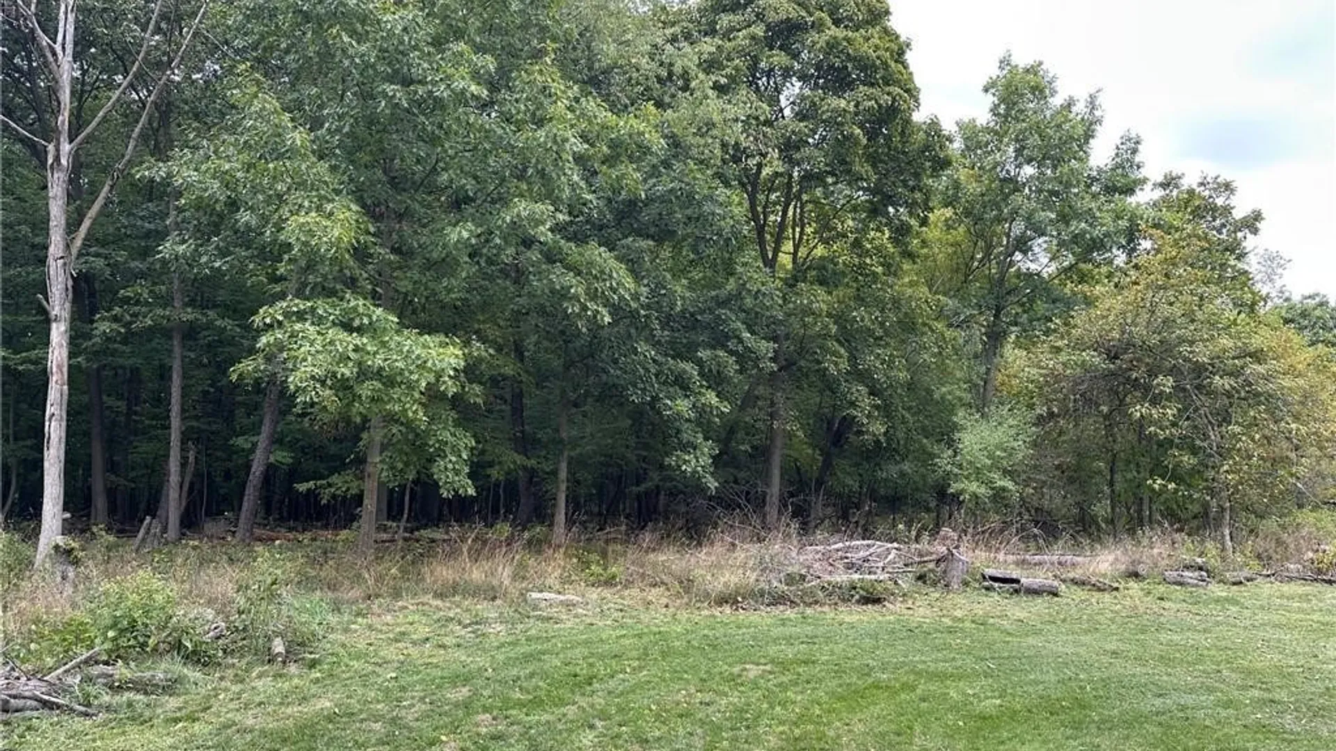 Property at 225 Center Street, Lockport City, NY 14094 4