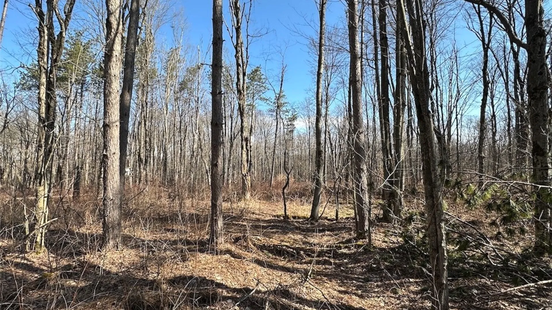 Property at Worden Road, Birdsall, NY 14822 13