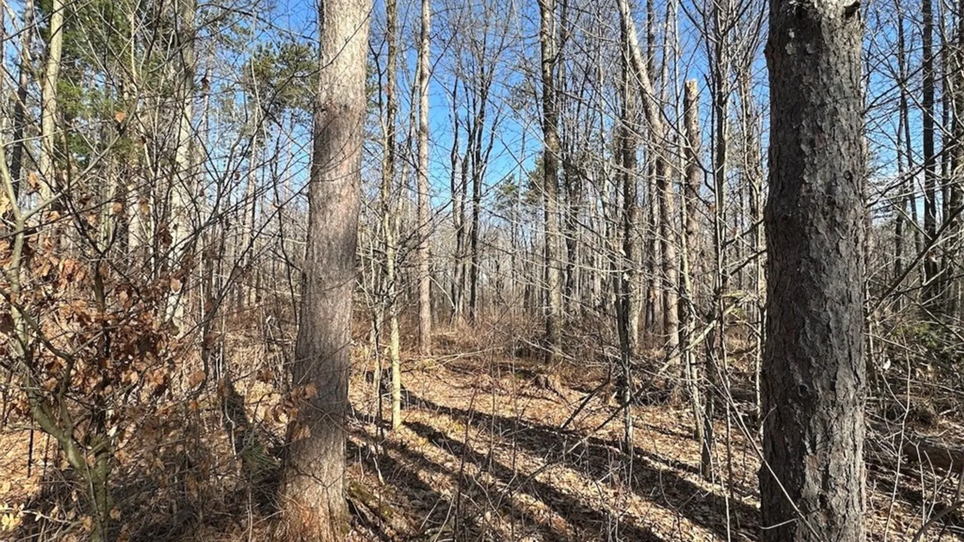 Property at Worden Road, Birdsall, NY 14822 14
