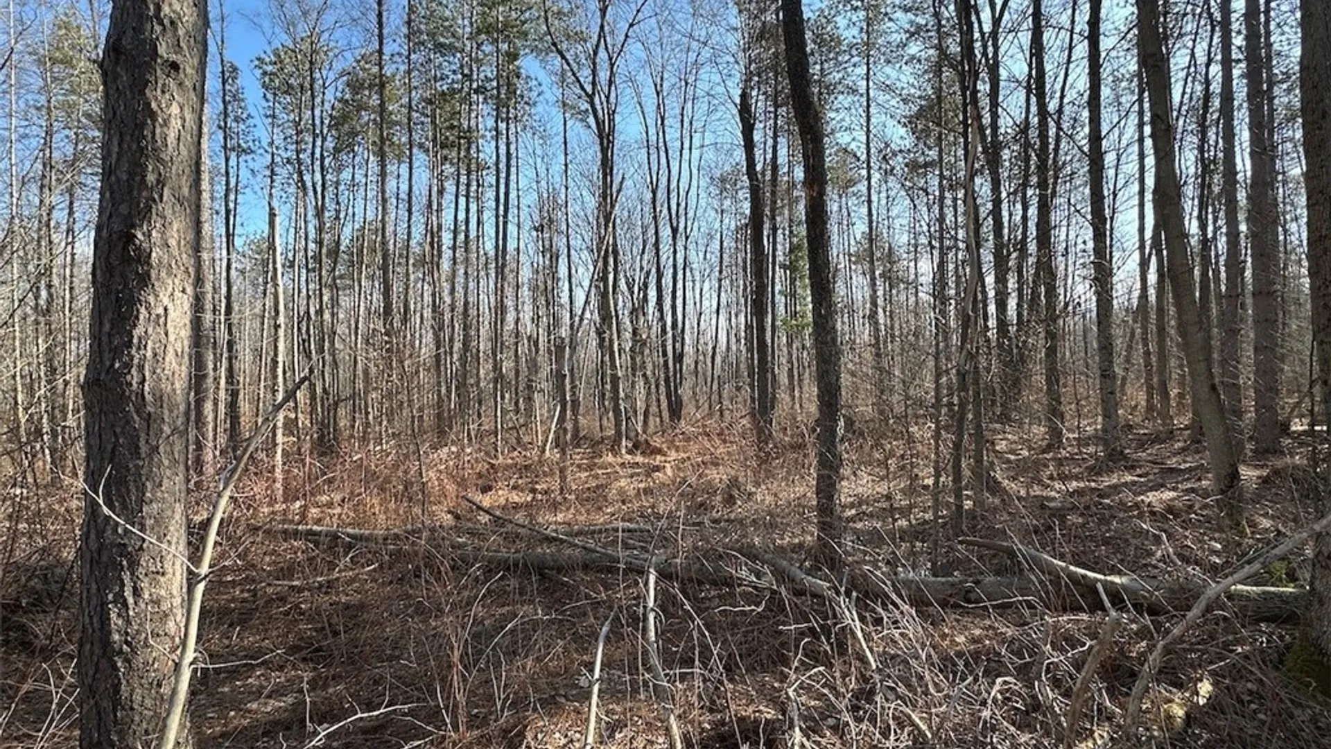Property at Worden Road, Birdsall, NY 14822 17