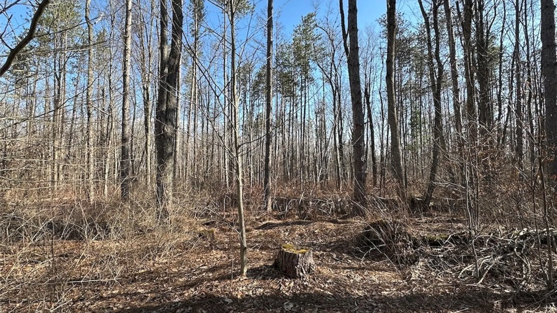 Property at Worden Road, Birdsall, NY 14822 18