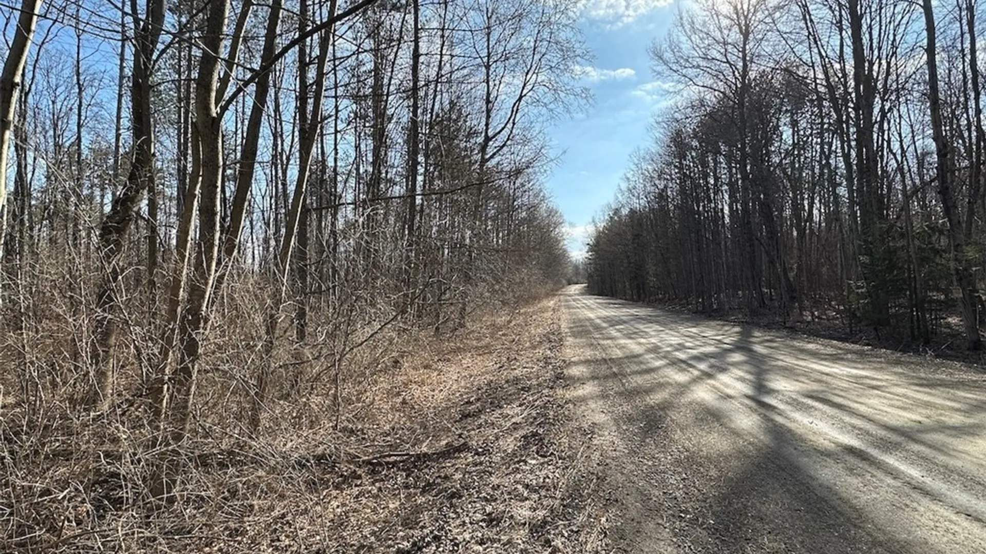 Property at Worden Road, Birdsall, NY 14822 21
