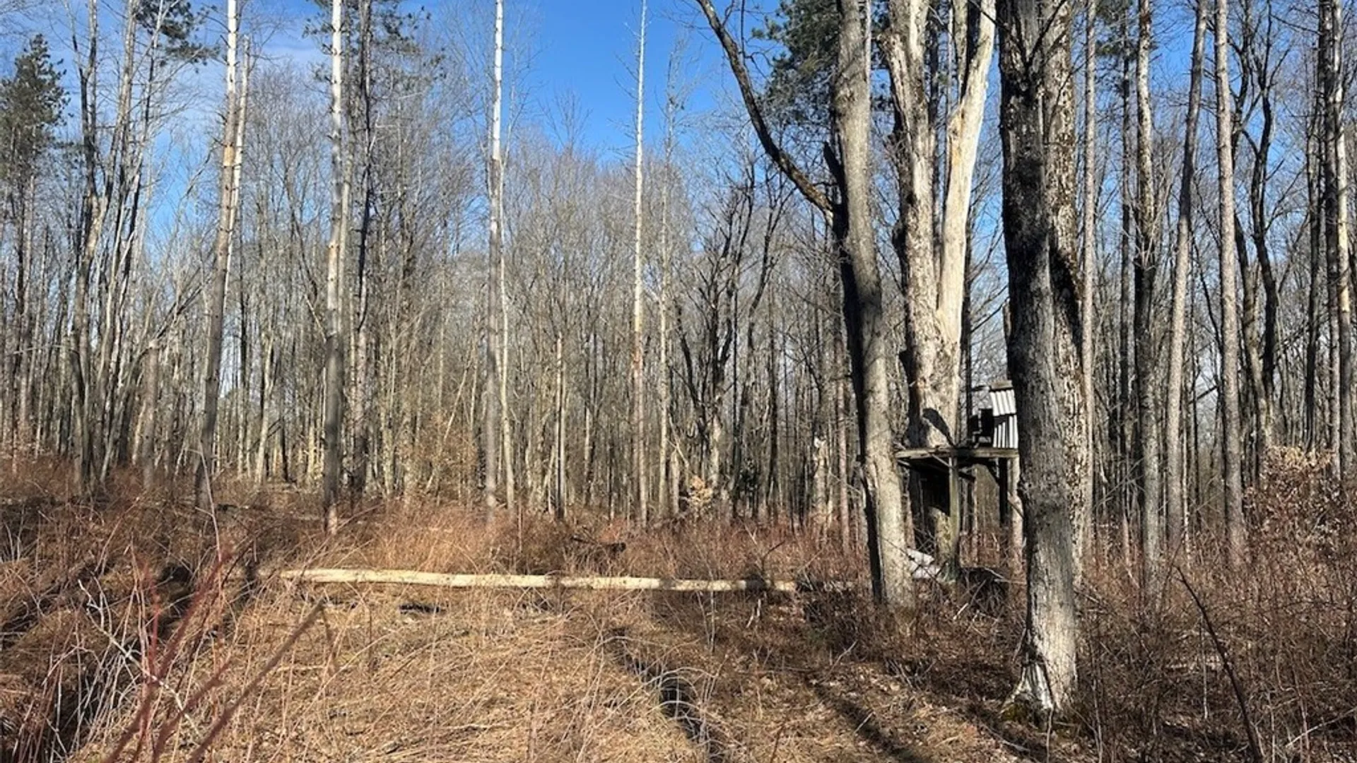 Property at Worden Road, Birdsall, NY 14822 9