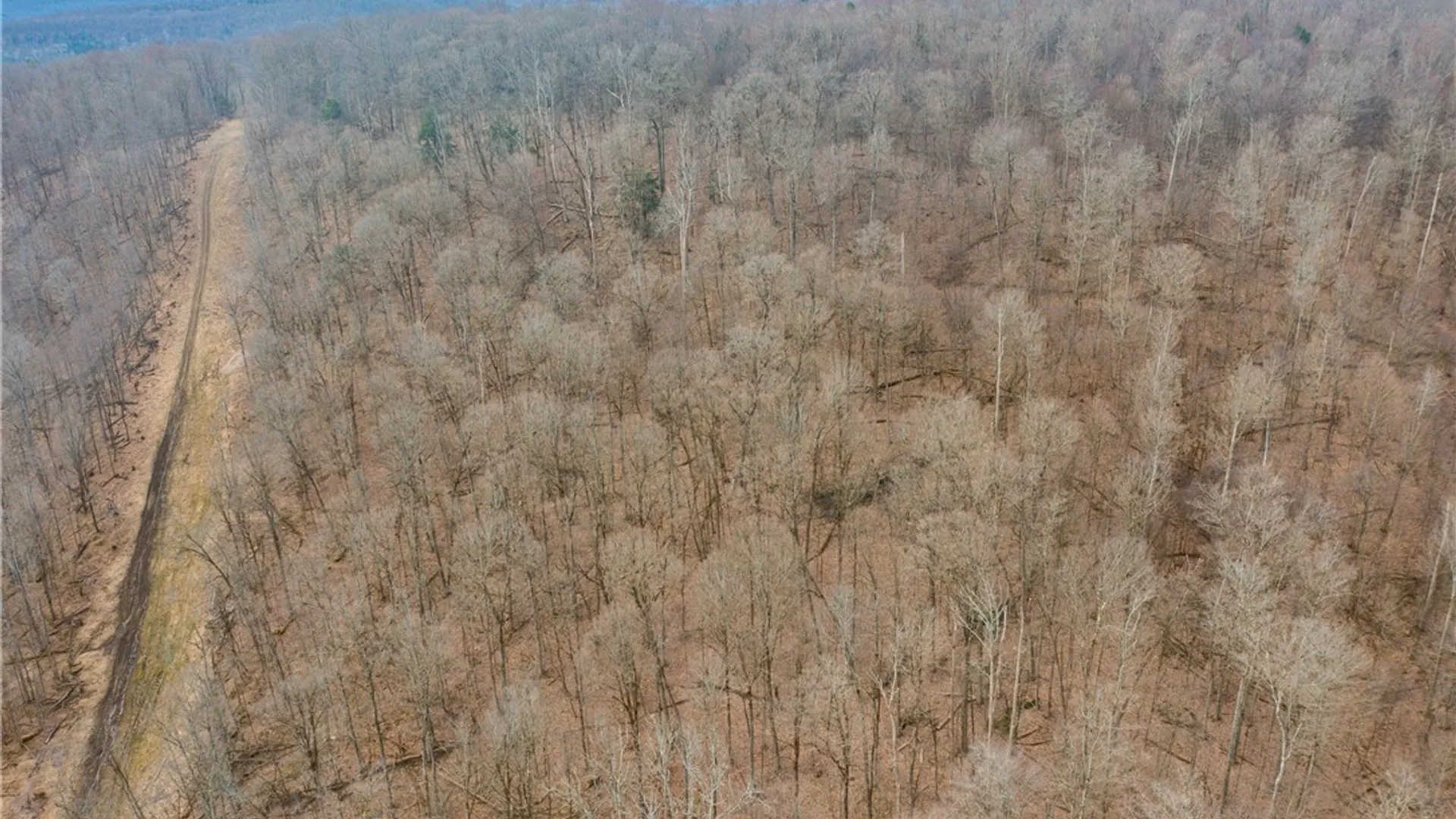 Property at 0 Oak Hill Road, South Valley, NY 14738 3