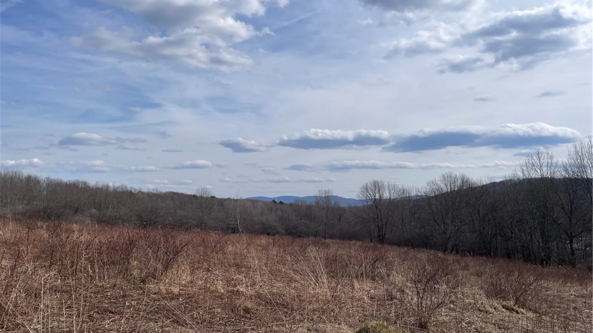 Property at 0 Swantak Road, Kortright, NY 13842 2