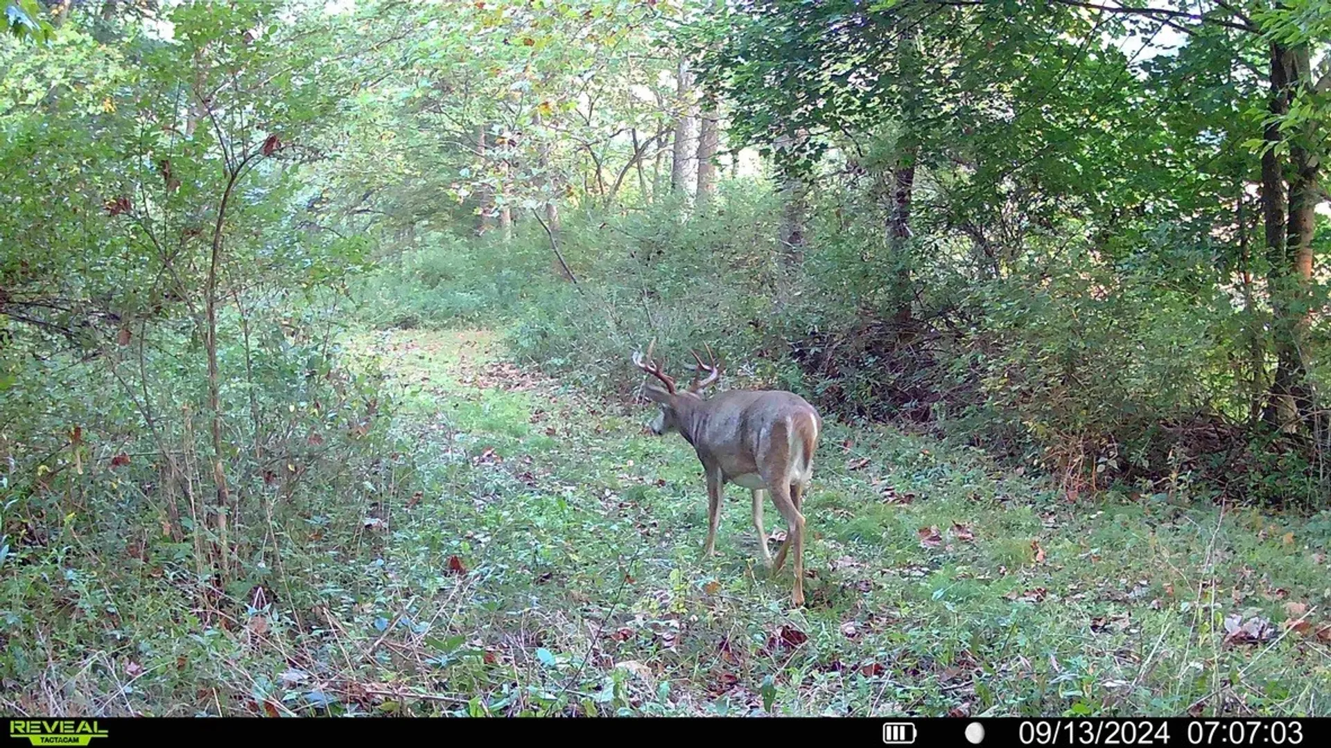 Property at State Highway 23, Oneonta, NY 13820 11