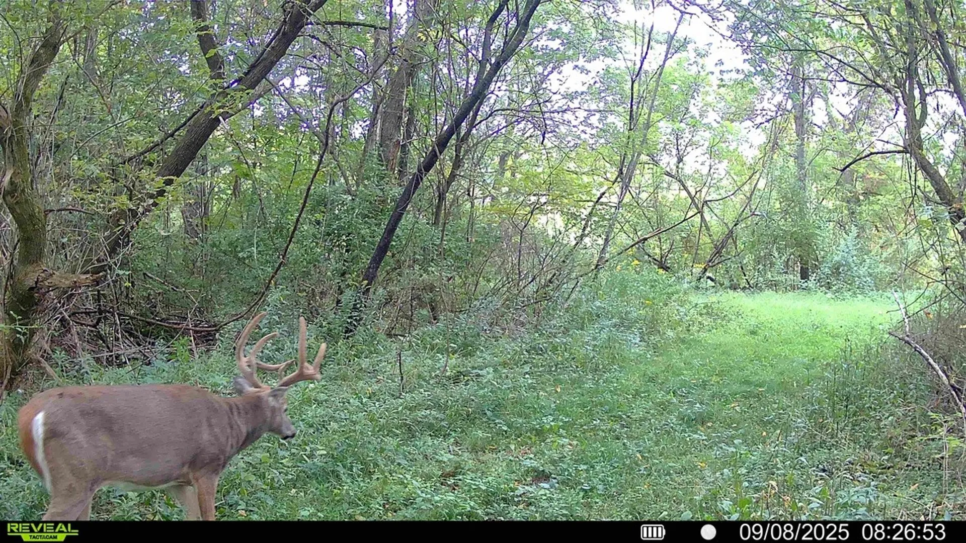 Property at State Highway 23, Oneonta, NY 13820 12