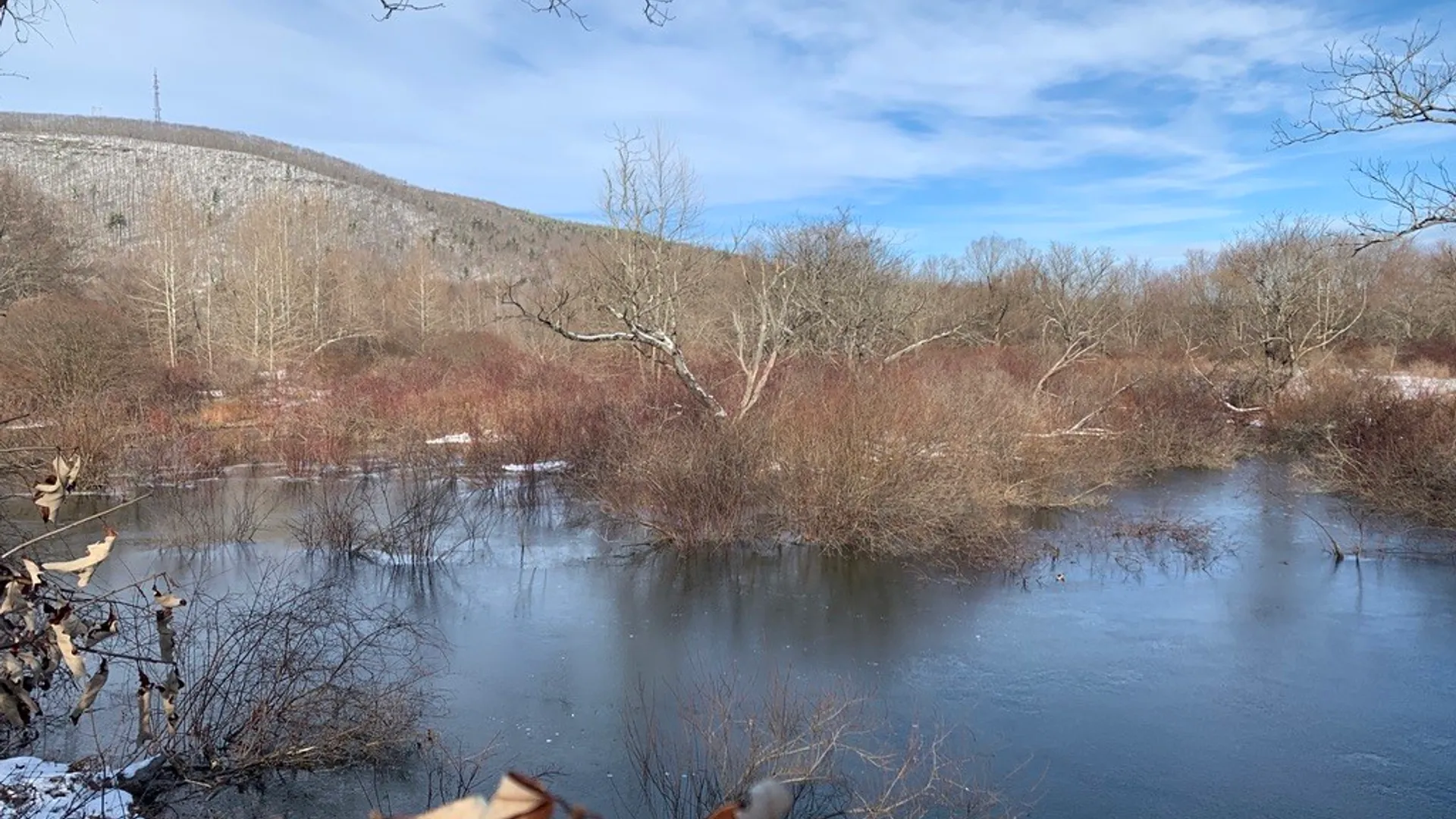 Property at State Highway 23, Oneonta, NY 13820 13