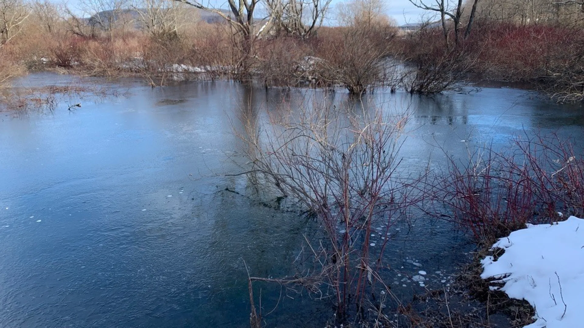 Property at State Highway 23, Oneonta, NY 13820 14