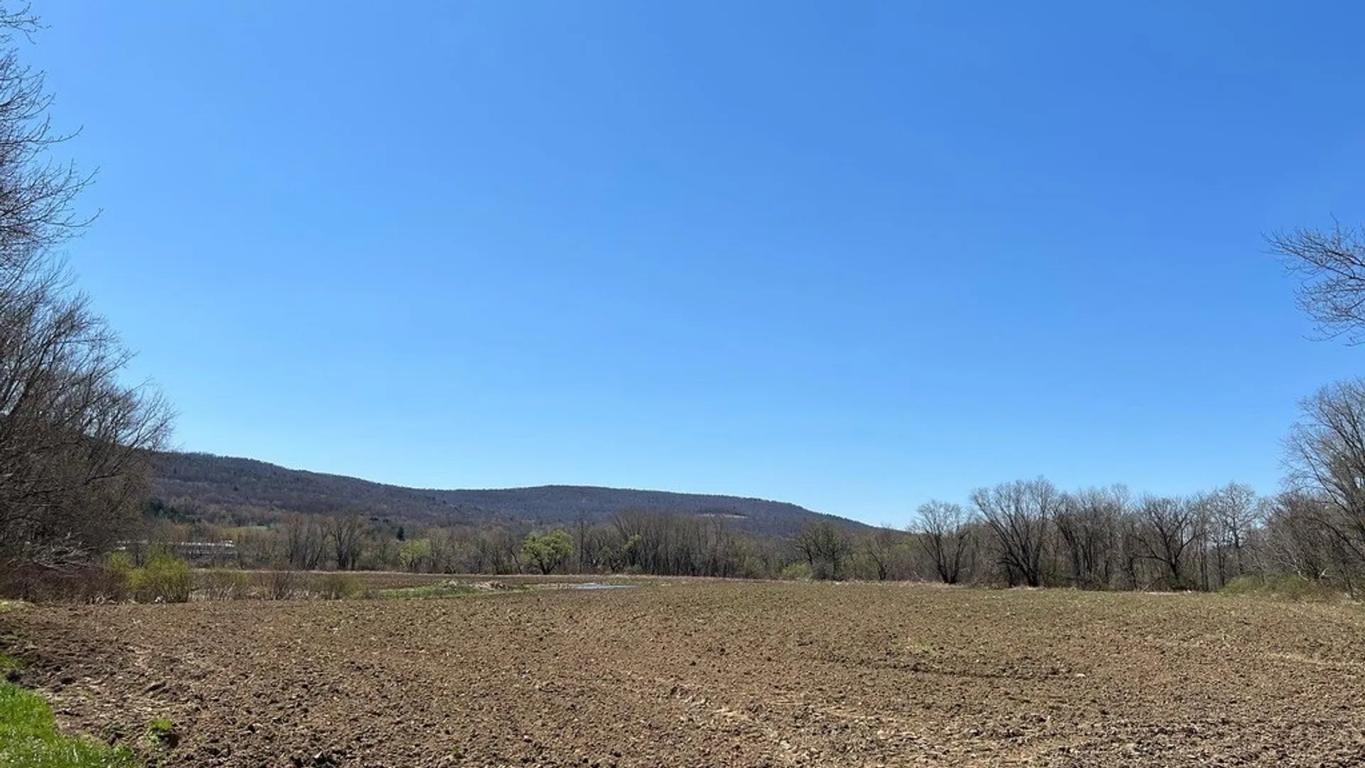 Property at State Highway 23, Oneonta, NY 13820 16