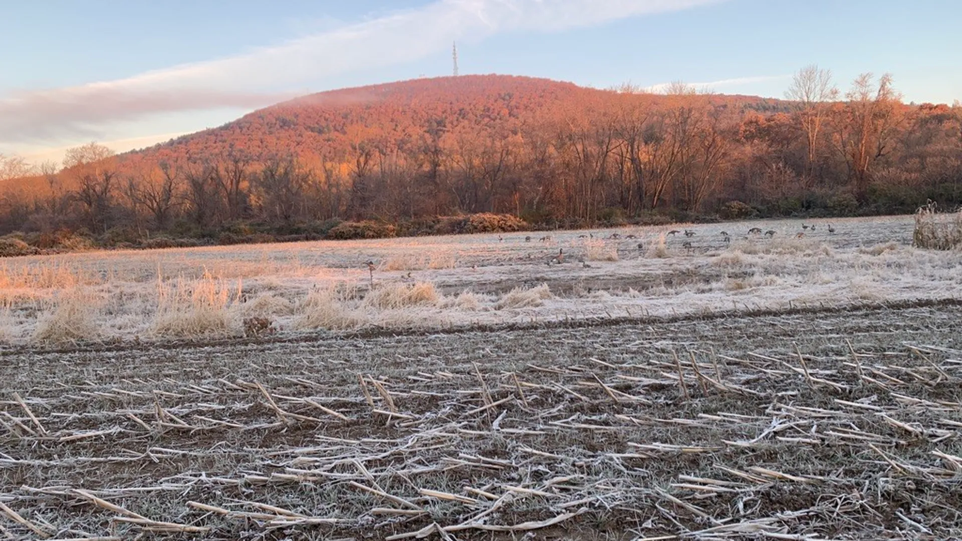 Property at State Highway 23, Oneonta, NY 13820 17