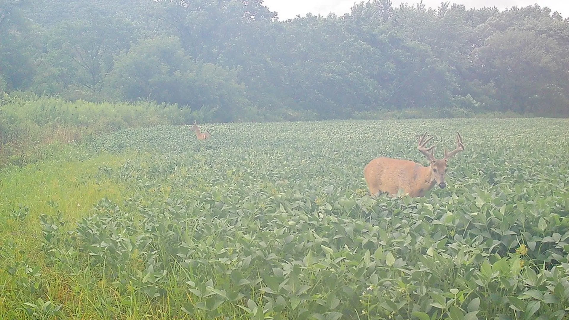 Property at State Highway 23, Oneonta, NY 13820 2