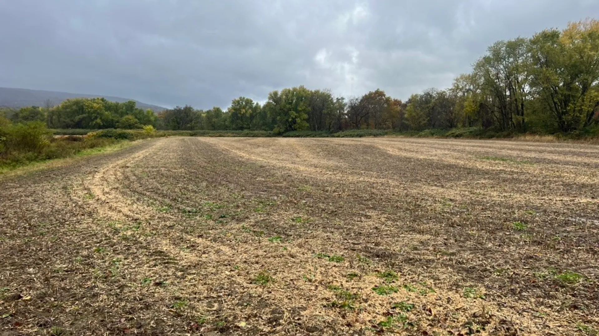 Property at State Highway 23, Oneonta, NY 13820 20