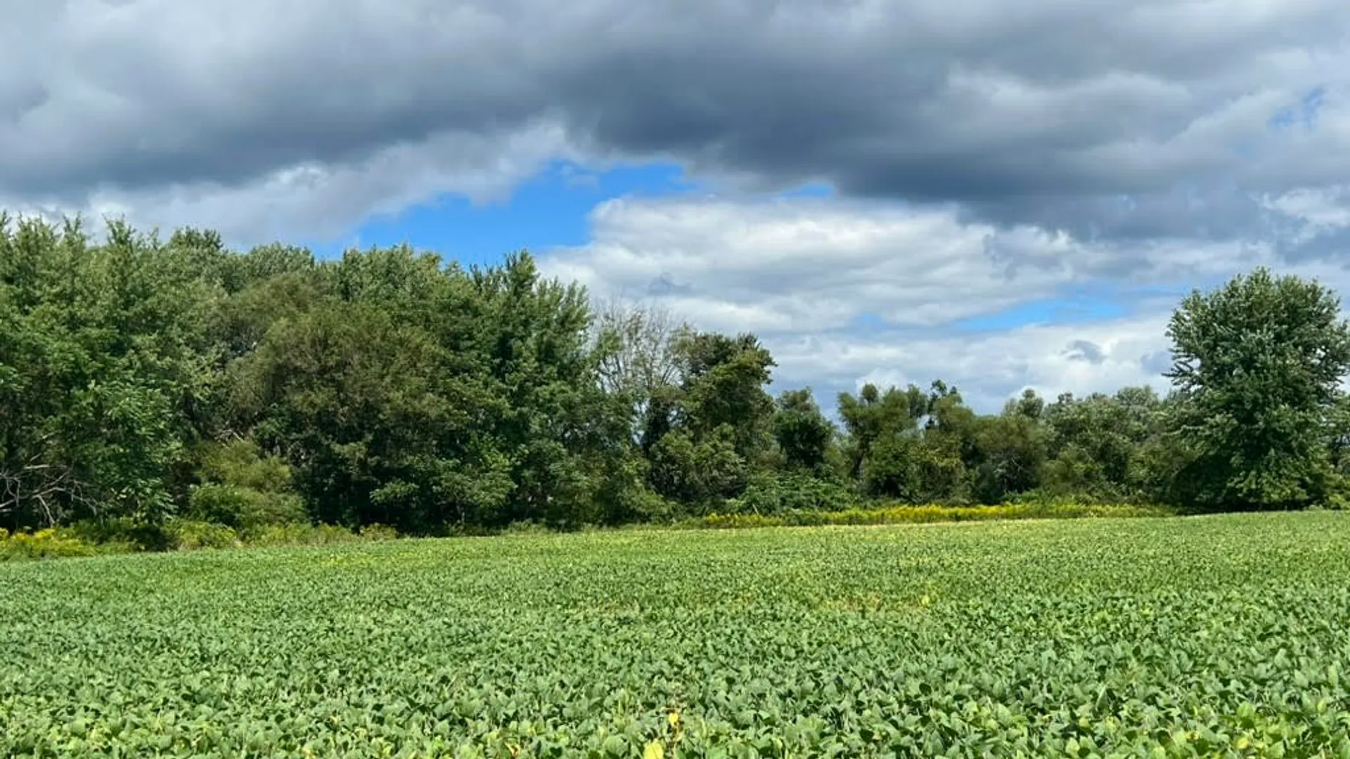 Property at State Highway 23, Oneonta, NY 13820 22